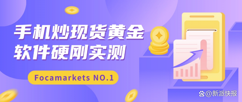 贵金属软件平台(贵金属软件平台哪个好)