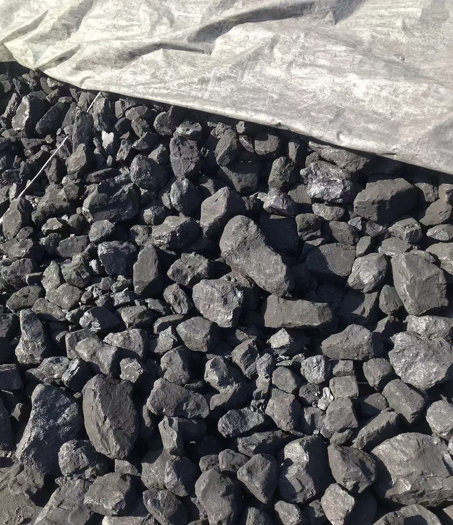 动力煤现货(动力煤现货价格指数上涨)